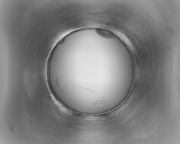 X0000115791439200912041503