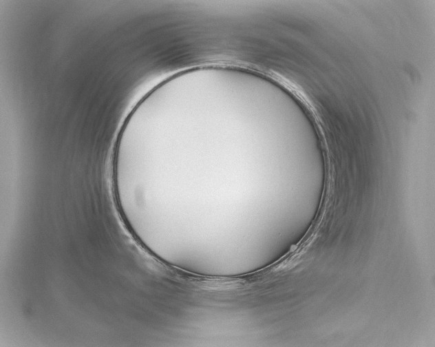 X0000115791440200912041503