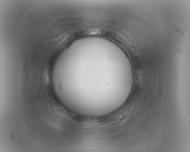 X0000115791442200912041503