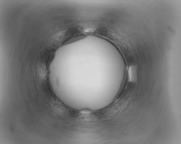 X0000115791443200912041503