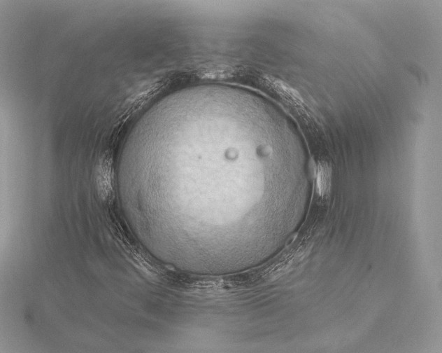 X0000115791444200912041503