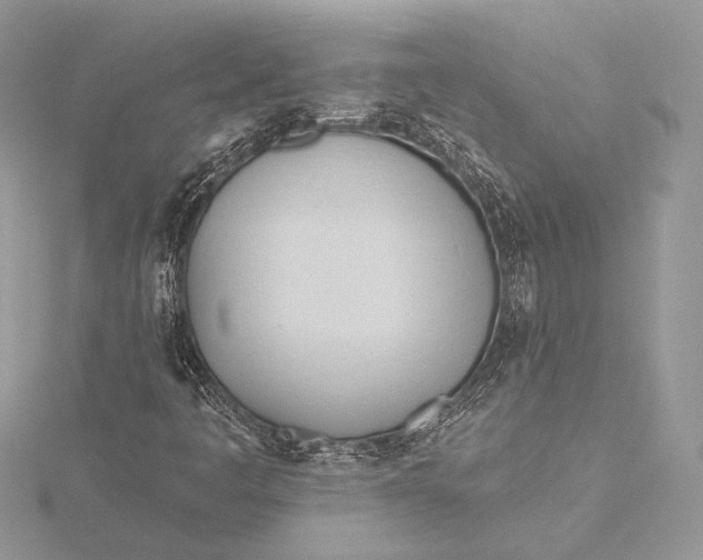 X0000115791445200912041503