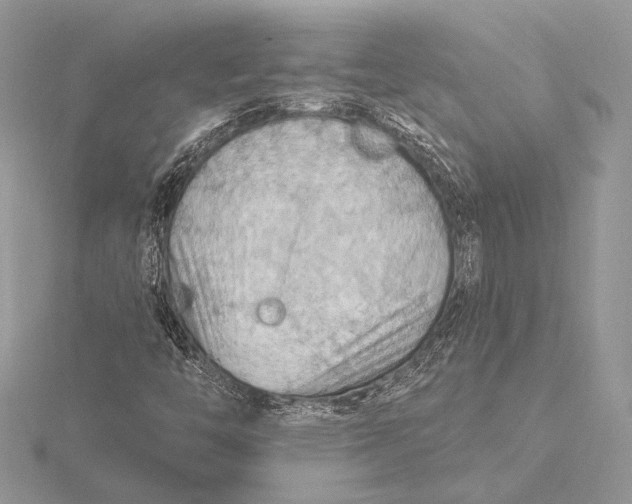 X0000115791446200912041503