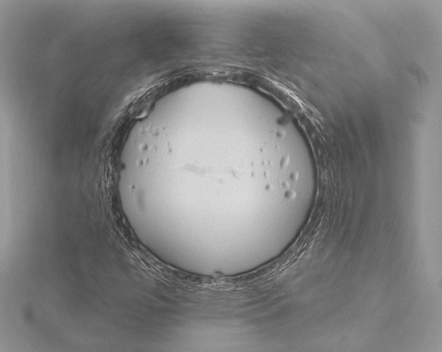 X0000115791447200912041503