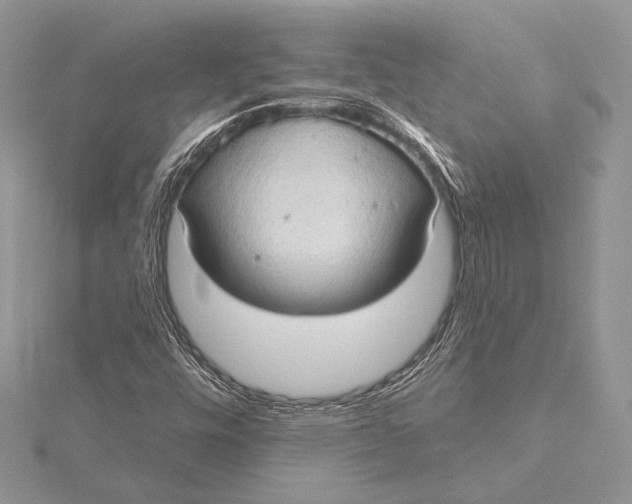 X0000115791448200912041503