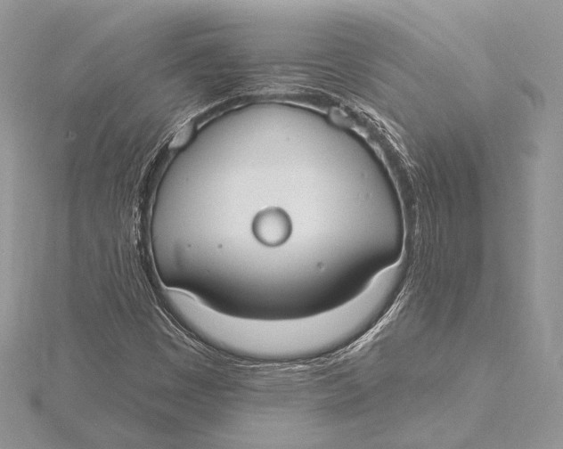 X0000115791449200912041503