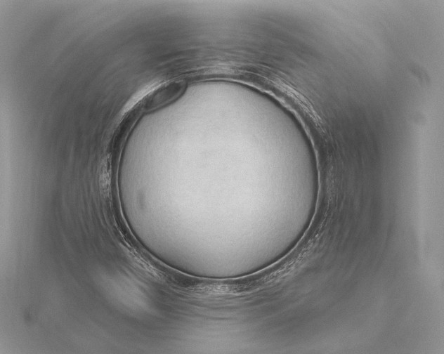 X0000115791450200912041503