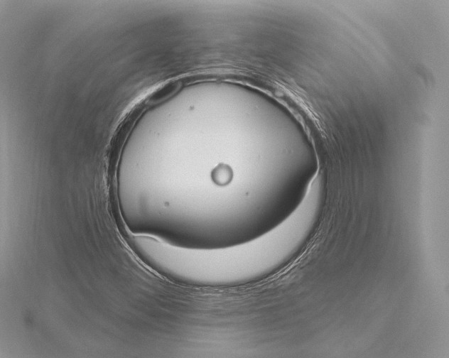 X0000115791452200912041503