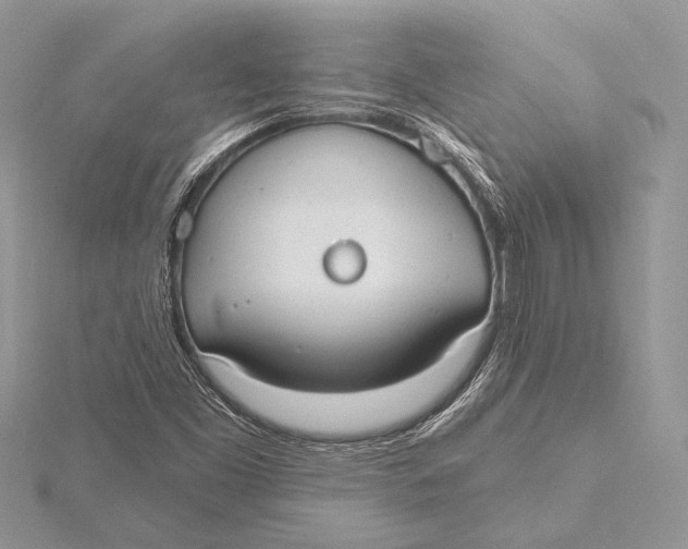 X0000115791453200912041503