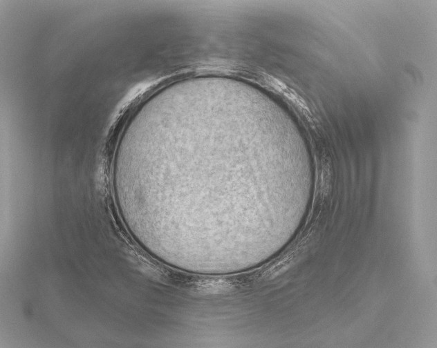 X0000115791454200912041503