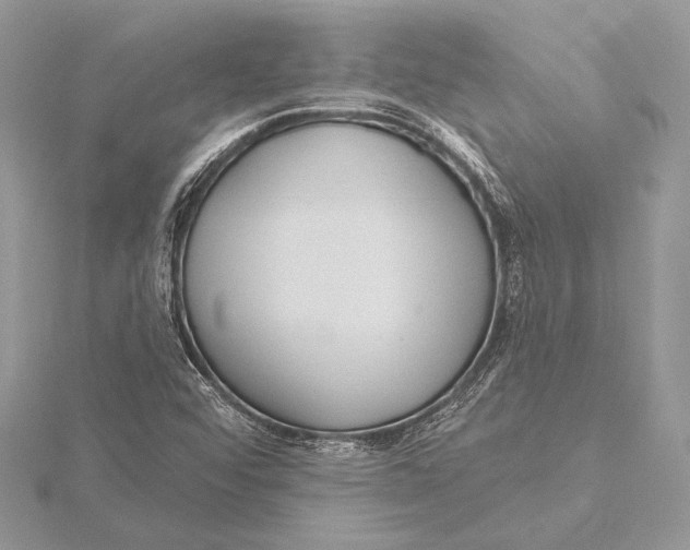 X0000115791456200912041503