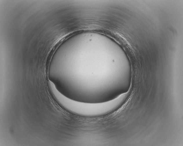 X0000115791457200912041503