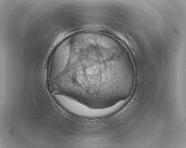 X0000115791459200912041503