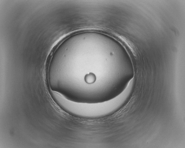 X0000115791460200912041502