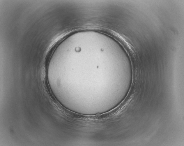 X0000115791461200912041502