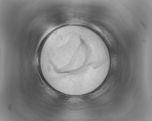 X0000115791462200912041502