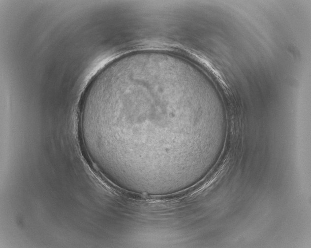 X0000115791463200912041502