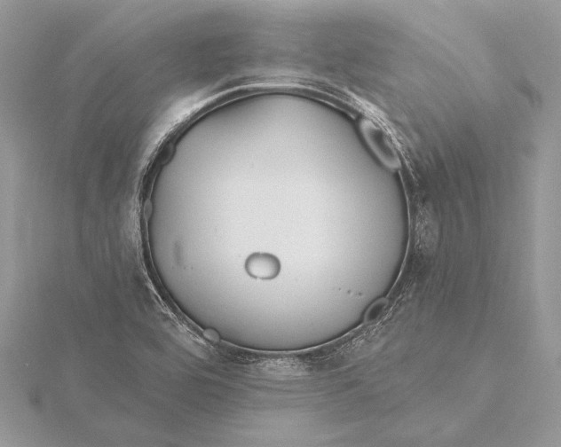 X0000115791464200912041502