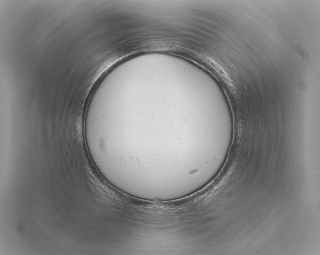 X0000115791465200912041502