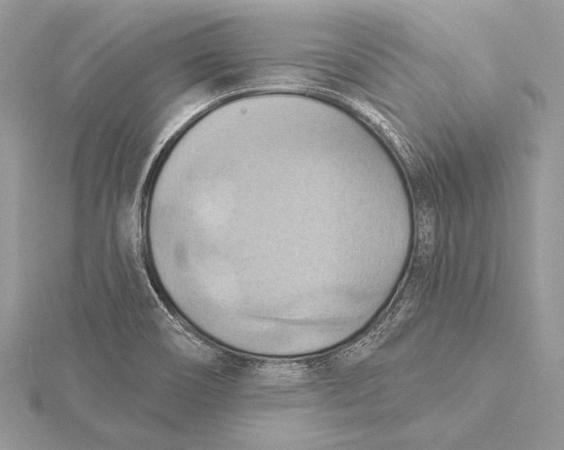 X0000115791466200912041502