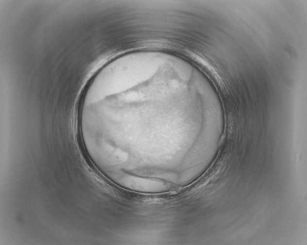 X0000115791467200912041502