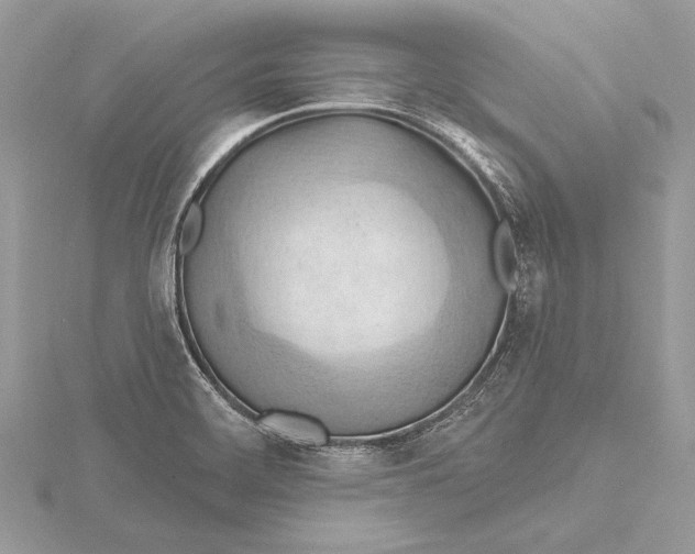 X0000115791468200912041502