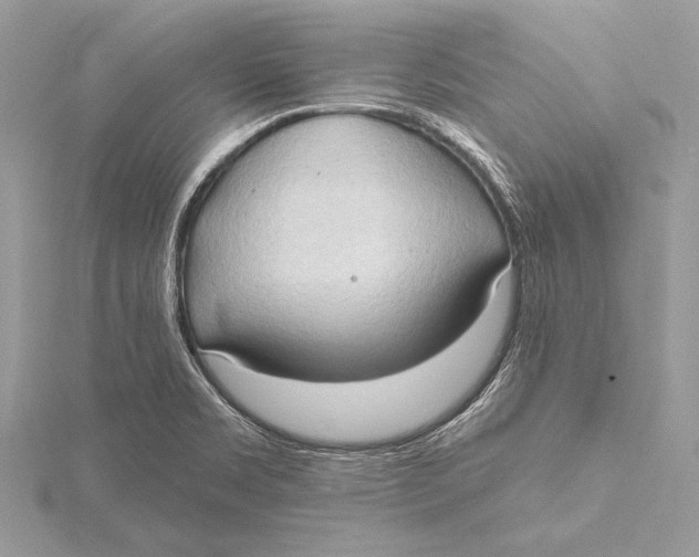 X0000115791469200912041502