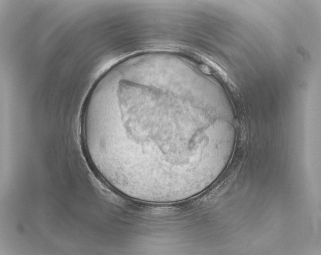 X0000115791471200912041502