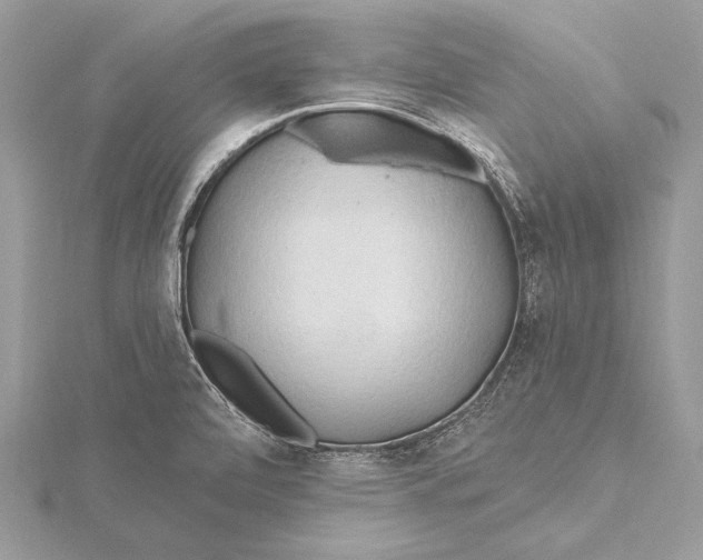 X0000115791472200912041502