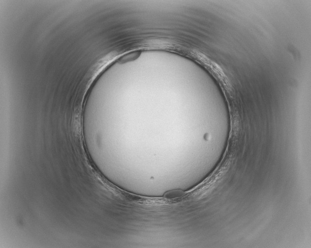 X0000115791473200912041502