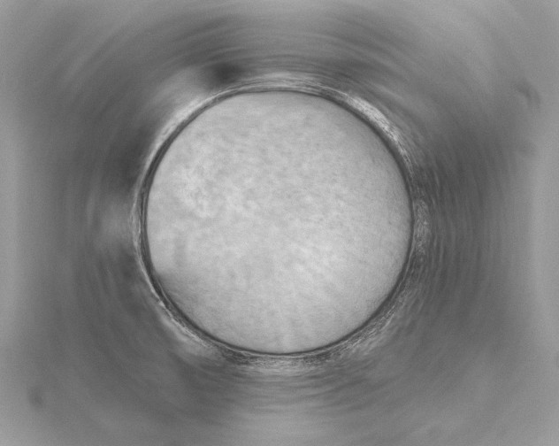 X0000115791474200912041502