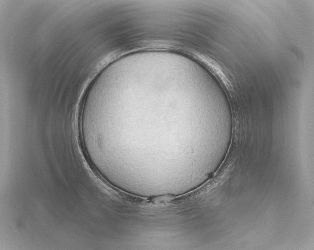 X0000115791475200912041502