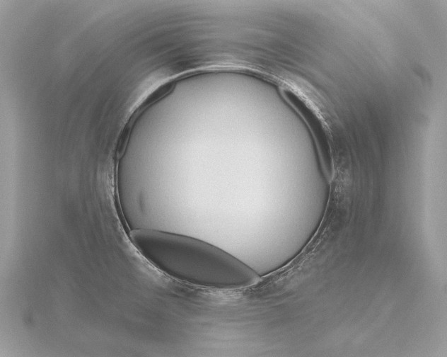 X0000115791476200912041502