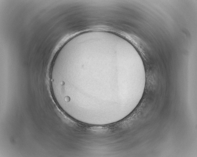 X0000115791478200912041502