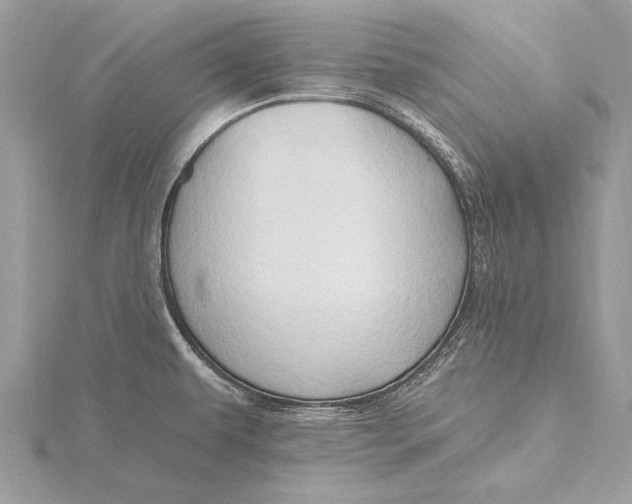 X0000115791479200912041502