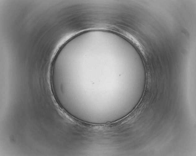 X0000115791480200912041502