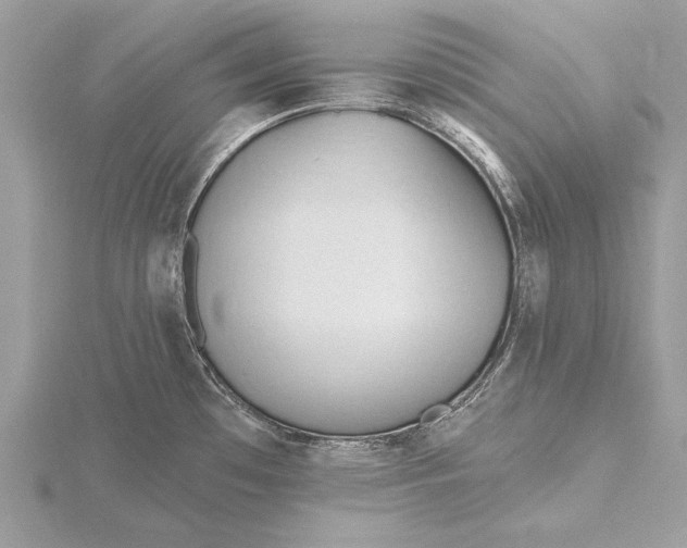 X0000115791481200912041502