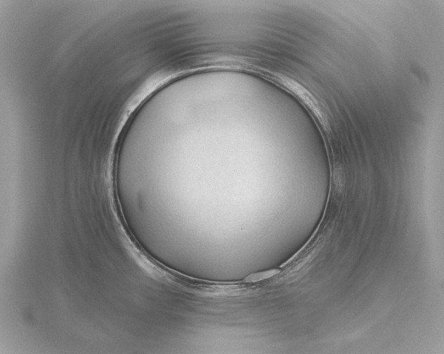 X0000115791482200912041502