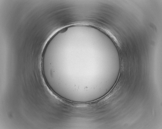 X0000115791484200912041502