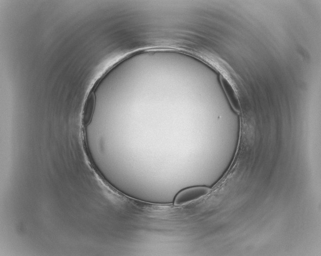 X0000115791485200912041502