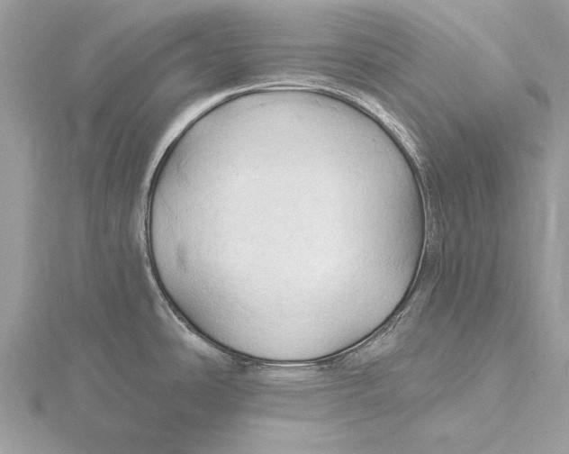 X0000115791486200912041502