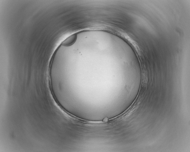 X0000115791487200912041502