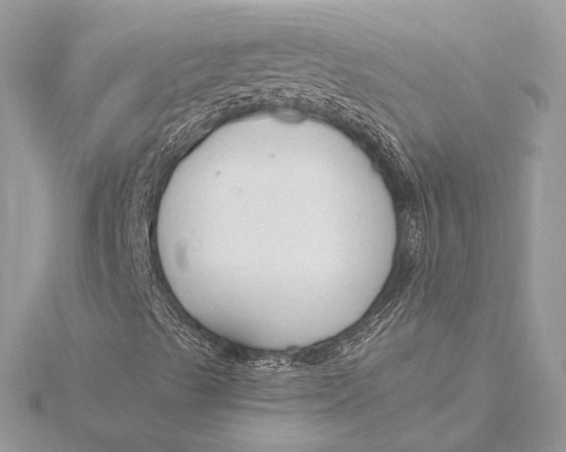 X0000115791489200912041501