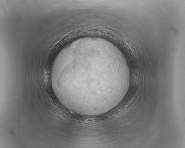 X0000115791490200912041501