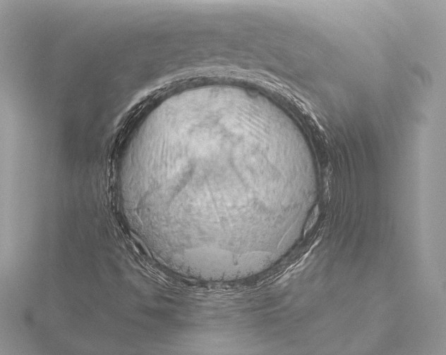 X0000115791494200912041501