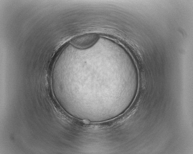 X0000115791497200912041501