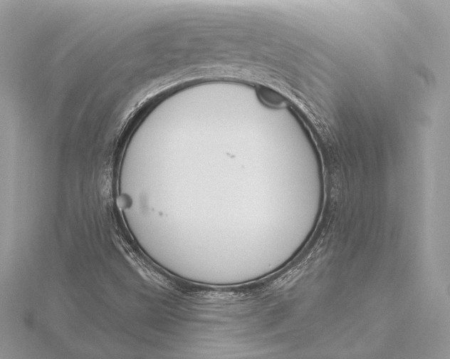 X0000115791499200912041501