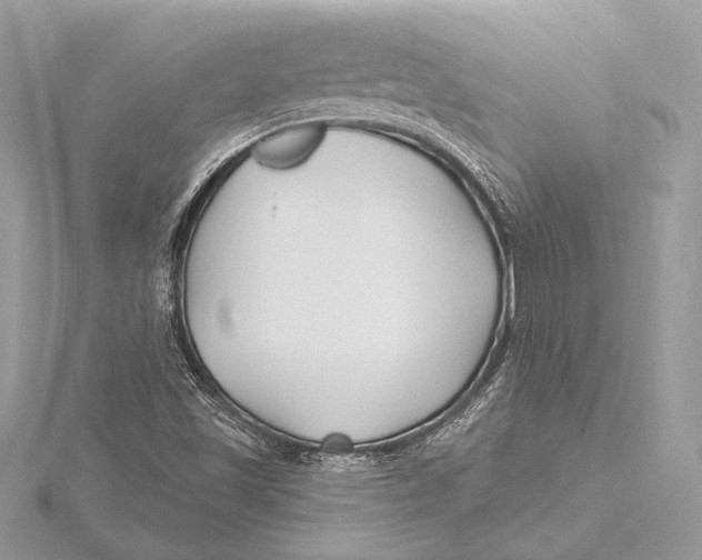 X0000115791501200912041501