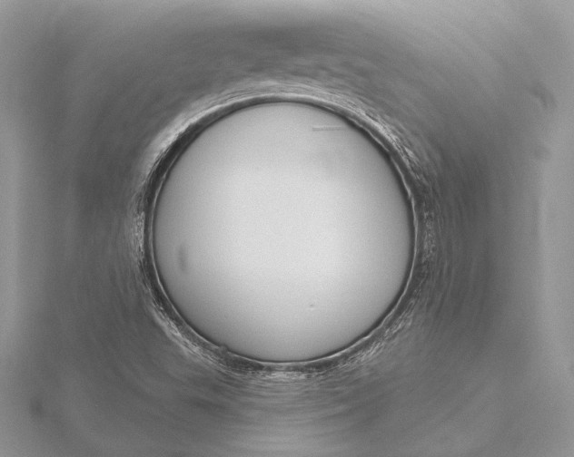 X0000115791503200912041502