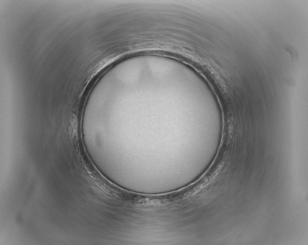 X0000115791505200912041502